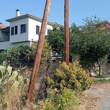 House With Garden *