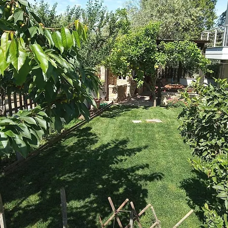 House With Garden 아파트 *