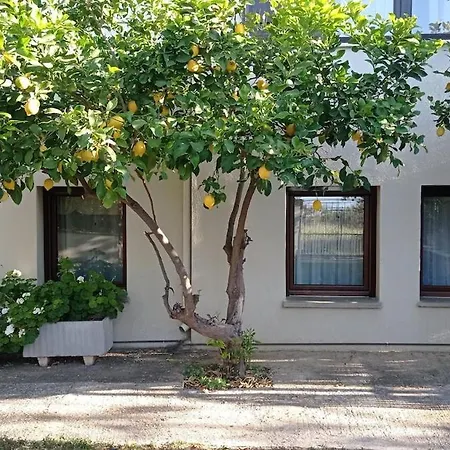 House With Garden